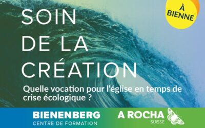 Formation Soin de la Création